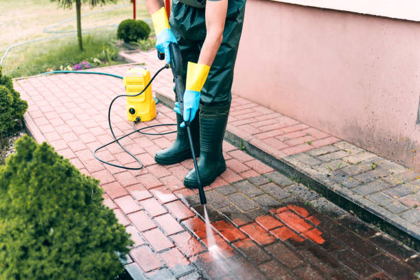 Best Concrete Pressure Washing  in Rice, MN