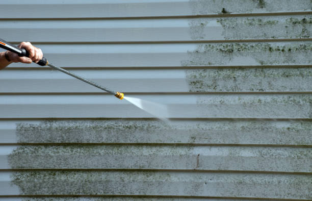 Best Residential Pressure Washing Services  in Rice, MN