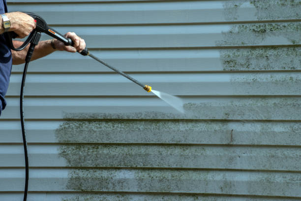 Best Local Pressure Washing Services  in Rice, MN