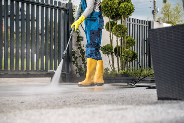 Best Commercial Building Pressure Washing  in Rice, MN