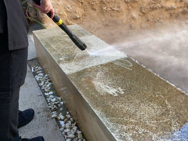 Best Pressure Washing Estimates  in Rice, MN