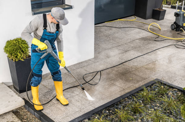 Best Residential Pressure Washing Services  in Rice, MN