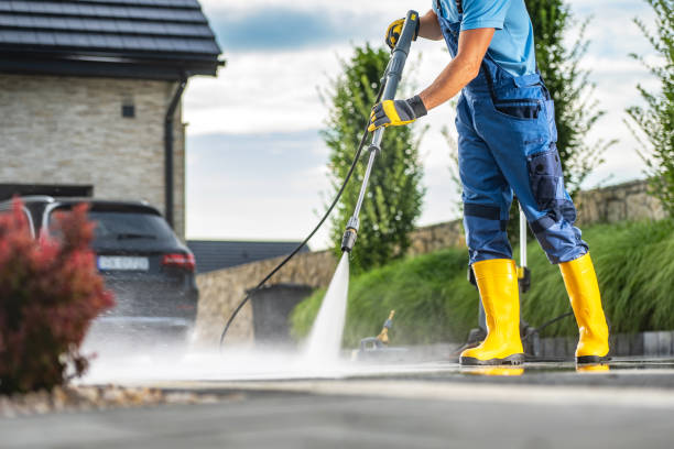 Best House Pressure Washing  in Rice, MN