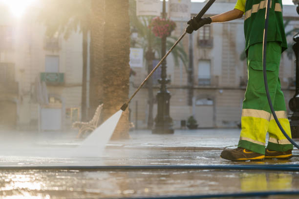 Best Deck Cleaning Services  in Rice, MN