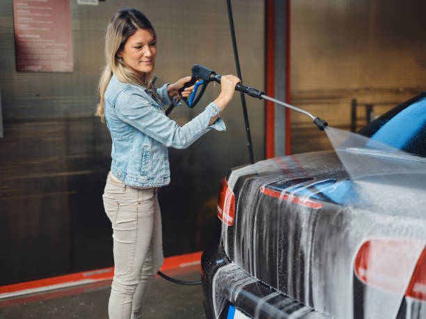 Best Exterior Home Cleaning  in Rice, MN